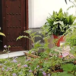 Avenida 31 Marbella