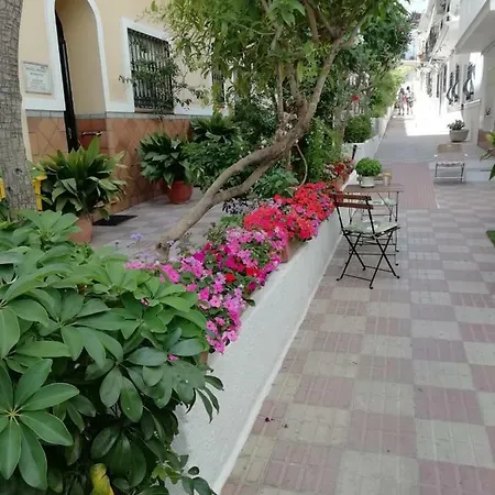 Avenida 31 2* Marbella