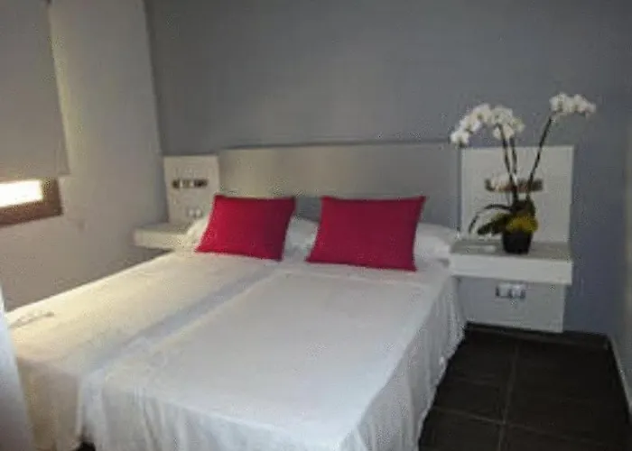 Szálloda Avenida 31