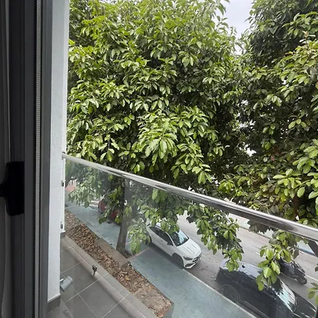 Avenida 31 Hotel Marbella
