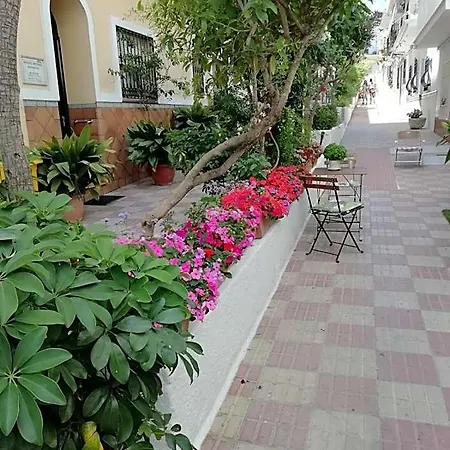 Avenida 31