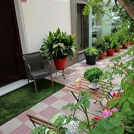 Avenida 31 Marbella