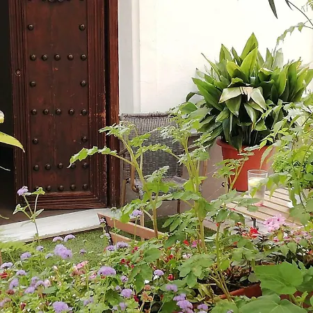 Avenida 31 Marbella