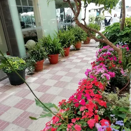 Avenida 31 ホテル