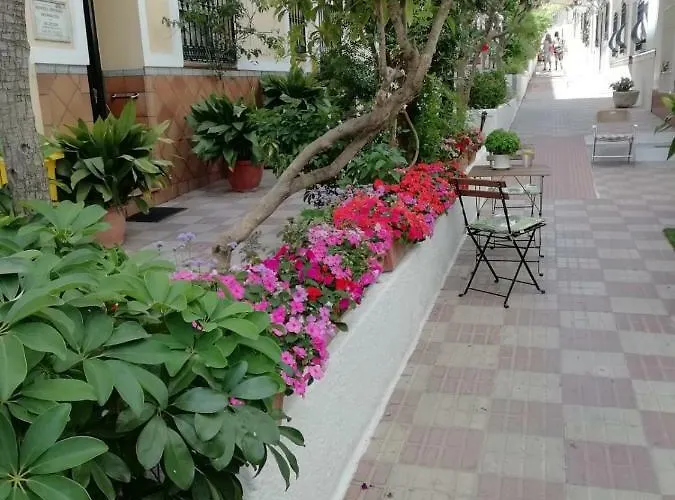 Avenida 31 2* 마르베야