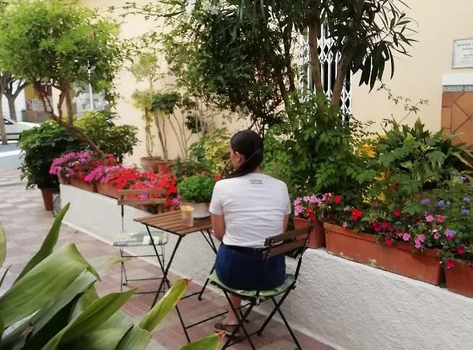 Avenida 31 Marbella